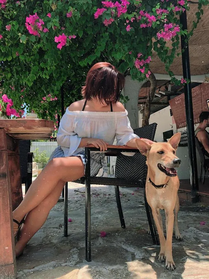 Cococha Villa-1001 Insta Photos (Adults Only) Hoi An