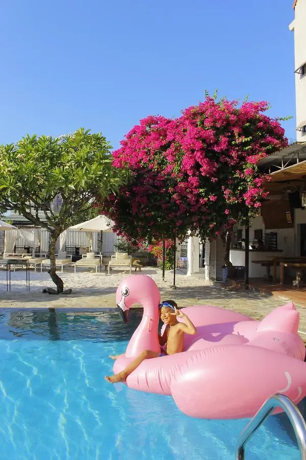Villa Cococha Villa-1001 Insta Photos Hoi An Vietnam